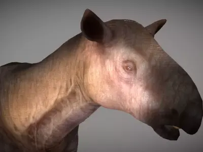 Paraceratherium  Low-poly 3D model