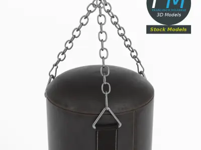 Boxing bag 3D model