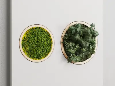 vertical garden circle and moss in wooden frame 32 3D model