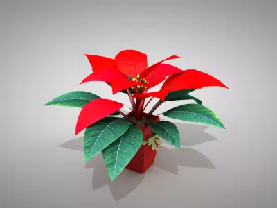 Poinsettia Parrot Beak Plant 3D model