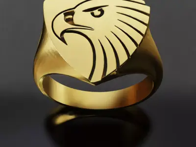 Hawks Australia Football Fans 3D print model  3D print model