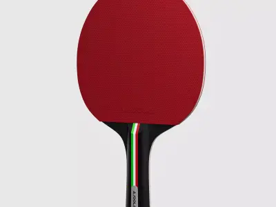 Table Tennis Paddle Low-poly 3D model
