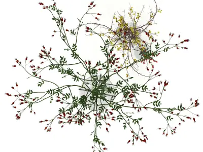 Twigs in Echasse Vases 3D model