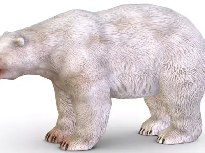 LowPoly Model White Polar Bear Low-poly 3D model