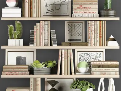 Decoration set bookshelves with cactus and plants 3D model