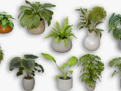 10 Realistic Indoor Plants Pack Interior Decoration Assets 3D model