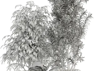 Plants collection 111 3D model