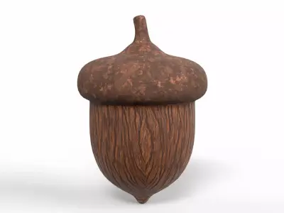 Acorn Low-poly 3D model