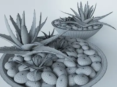 Succulents in bowl with stones 3D model