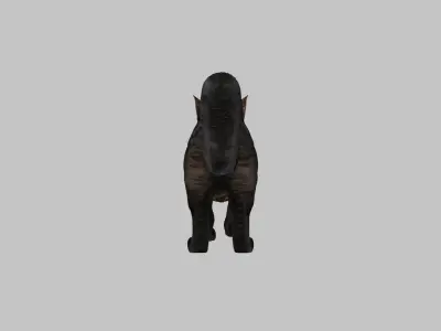 Black Cat 3D Model Low-poly 3D model