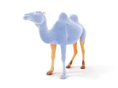 Realistic Camel Model Pack with PBR Textures Low-poly 3D model