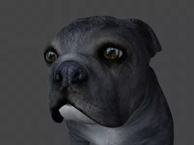 FEBU-003 Walking Animation 3D model