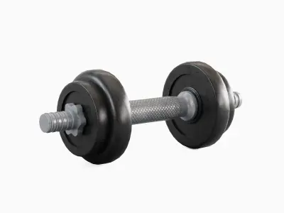 Metal Dumbbell 01 Low-poly 3D model