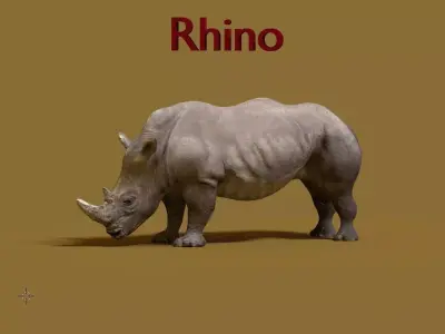 rhino 3D model 4