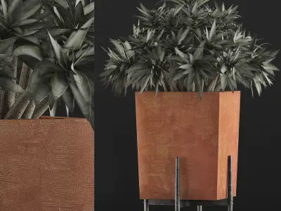 Plants Collection 74 3D model