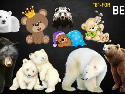 Assets for Games Texture