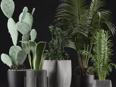 Plants Collection 21 3D model