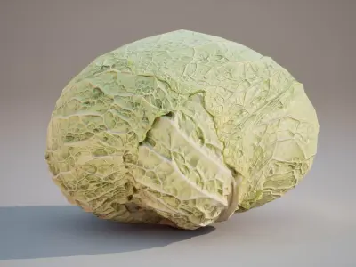 Low Poly 3D Cabbage model Game ready  5K triangles 4K PBR  Low-poly 3D model