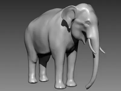 Elephant base mesh for Zbrush 3D model