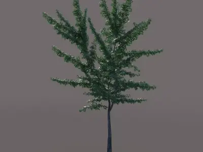 Small tree 3D model