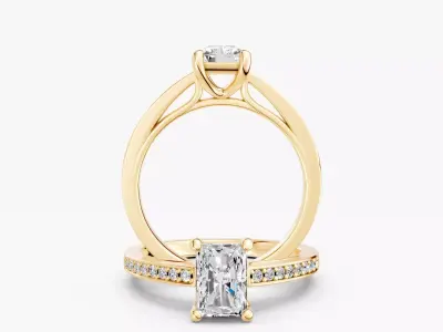 ZABS0016 RA engagement 3D print model