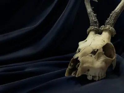 Deadly Skull 01 Low-poly 3D model