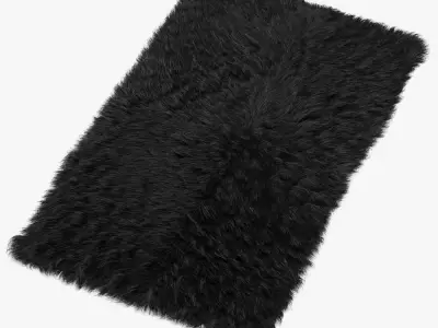 Mongolian fur rug black 3D model