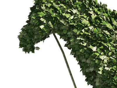 Topiary horse sculpture plant 3D model