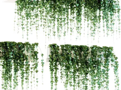 Ivy on the shelves 11 models 3D model