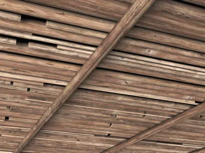 Ceiling round twig n1 3D model