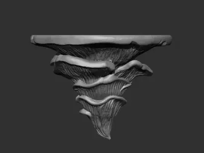 Mushroom Shelf 3D Printable Design 3D print model