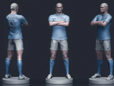 Erling Haaland 3D Printable 3D print model