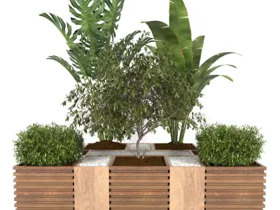 plants collection 18 3D model