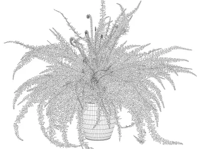 Fern in white pot 3D model