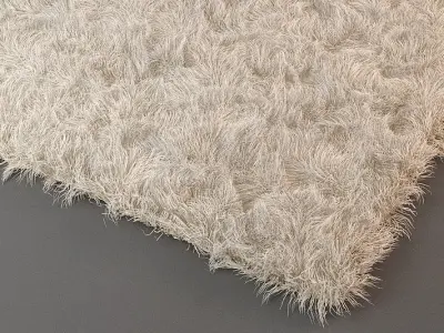 Rug Detailed 2 3D model