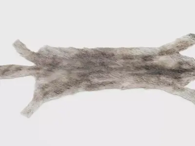 Wolf Skin Rug - Realistic Animal Hide 3D model