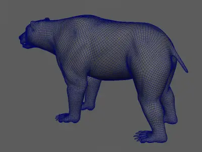 Bear Base Mesh 3D model