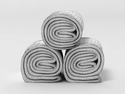 Towel Rolls 3D model