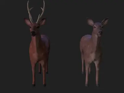 Sika deer complete animation Low-poly 3D model