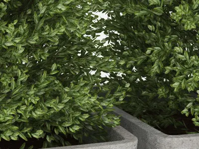 Bush concrete pot 3D model