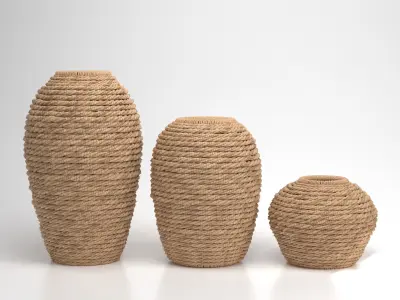 HandWoven Seagrass Vase 3D model