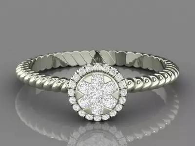 PRESSURE SETTING RING 11 3D print model