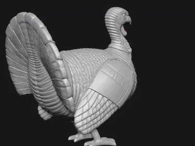 turkey 3D print model