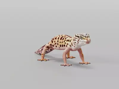 Leopard Gecko Low-poly 3D model