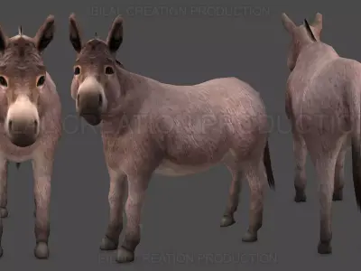 Donkey Animated Low-poly 3D model