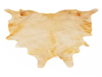 Nine Rugs From Animal Skins 09 3D model