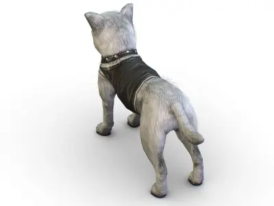 Low Poly White and Black Funny Dog Low-poly 3D model
