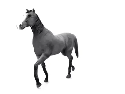 Horse aniamtion Low-poly 3D model