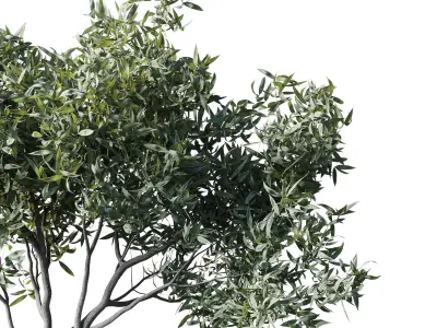 Urban Environment Urban Furniture Green Benches Low-poly 3D model