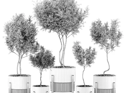 indoor plant 43 3D model